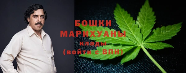 2c-b Заводоуковск