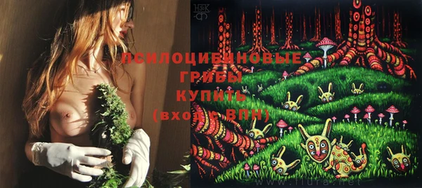 2c-b Заводоуковск
