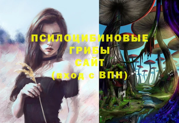 ECSTASY Заволжск