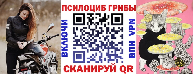 Псилоцибиновые грибы прущие грибы  Купить  Кодинск 